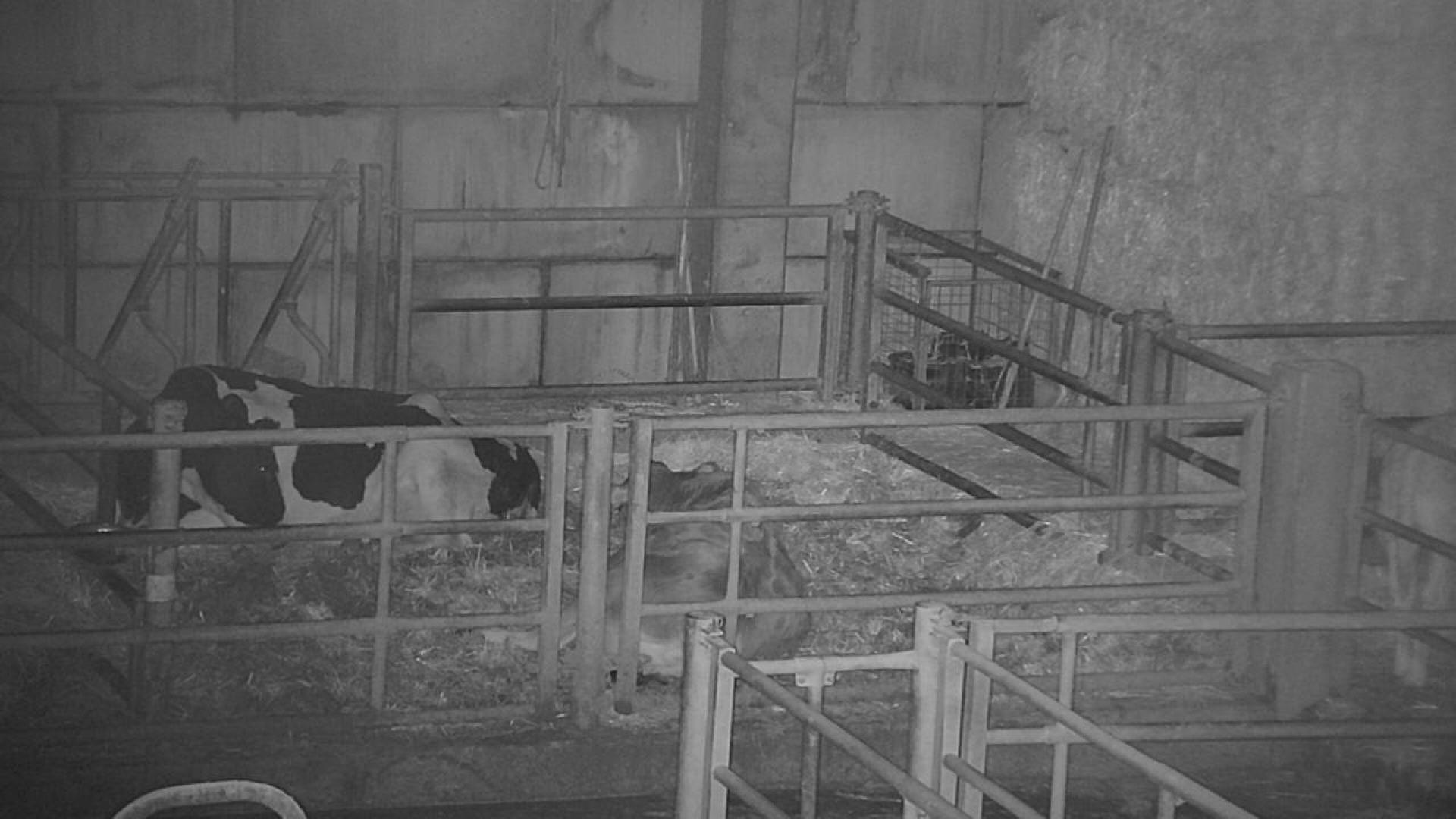 Melide · Galicia · Spain - Carte de Surveillance