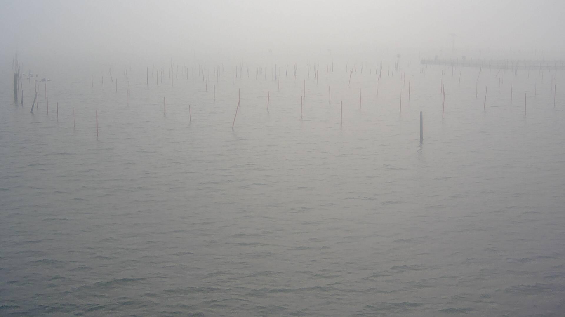 Padua · Veneto · Italy - Карта Наблюдения